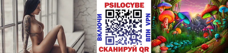 Купить  Альметьевск  Галлюциногенные грибы Psilocybe 